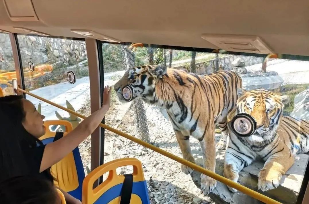 所有郑州人免费了！亿万先生MR观光车带你嗨玩竹海野生动物园！