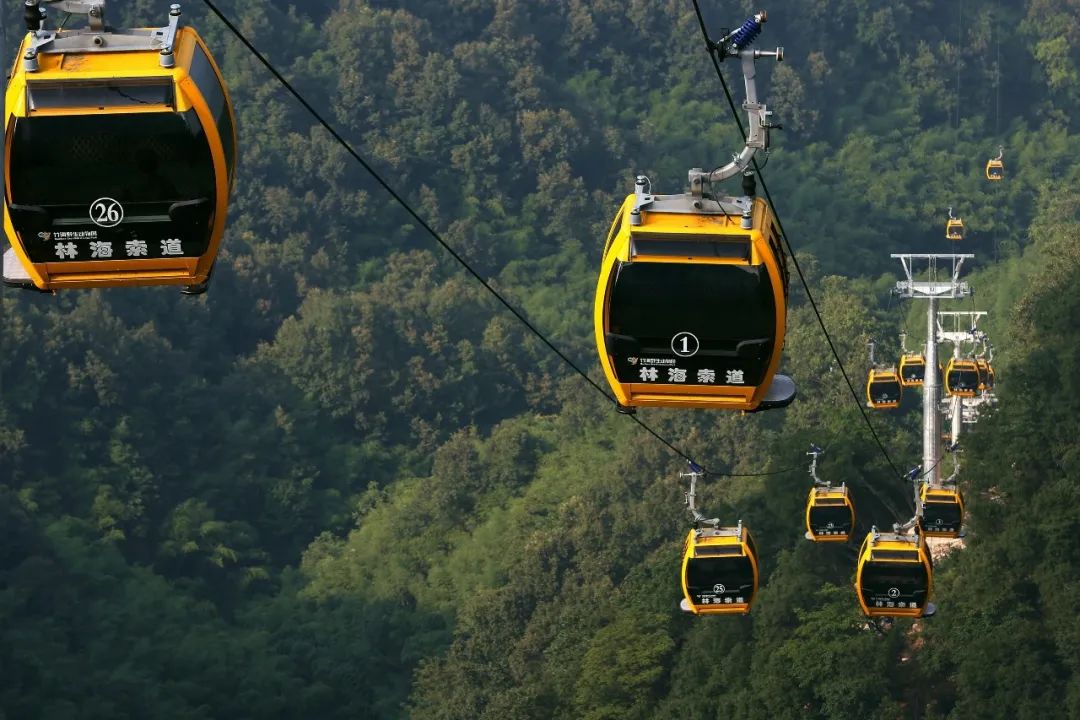 所有郑州人免费了！亿万先生MR观光车带你嗨玩竹海野生动物园！