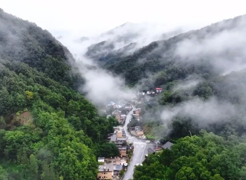 所有郑州人免费了！亿万先生MR观光车带你嗨玩竹海野生动物园！